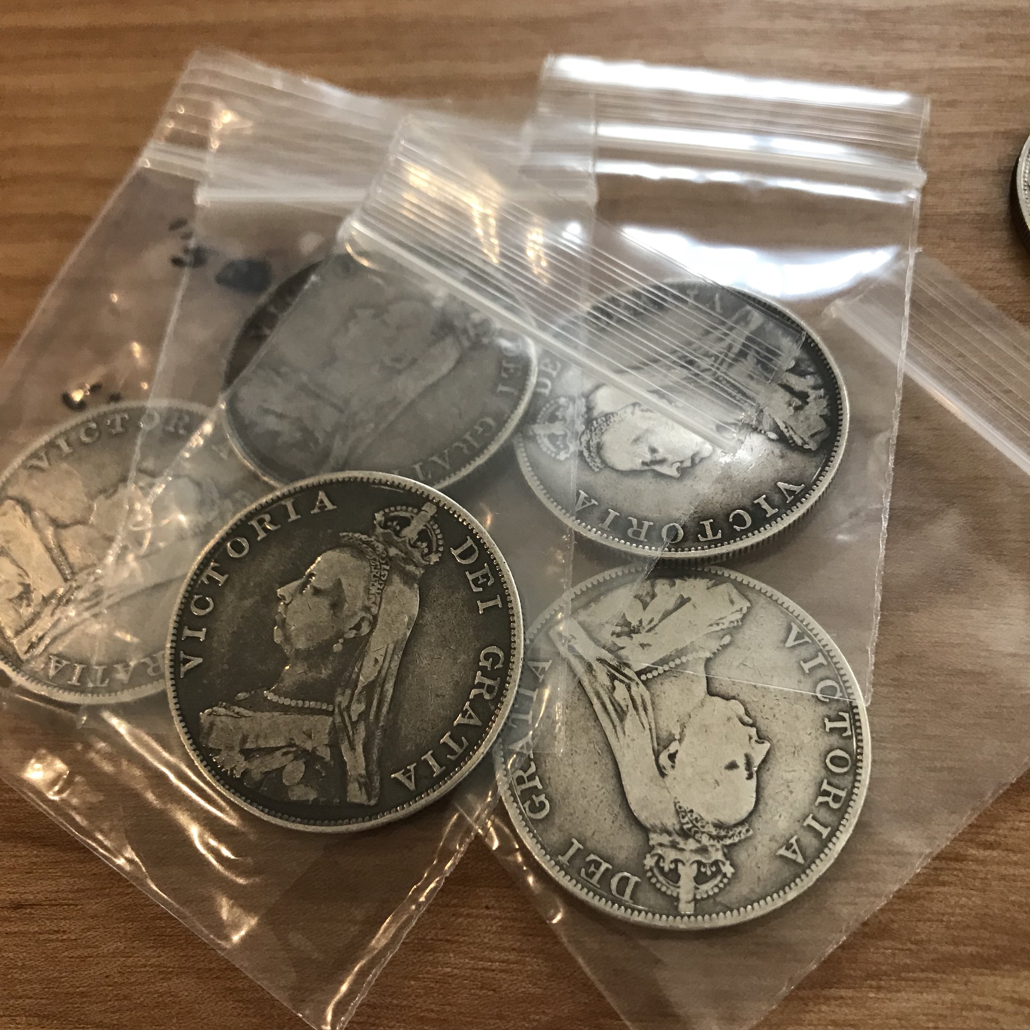 ダブルフローリンシェルコイン