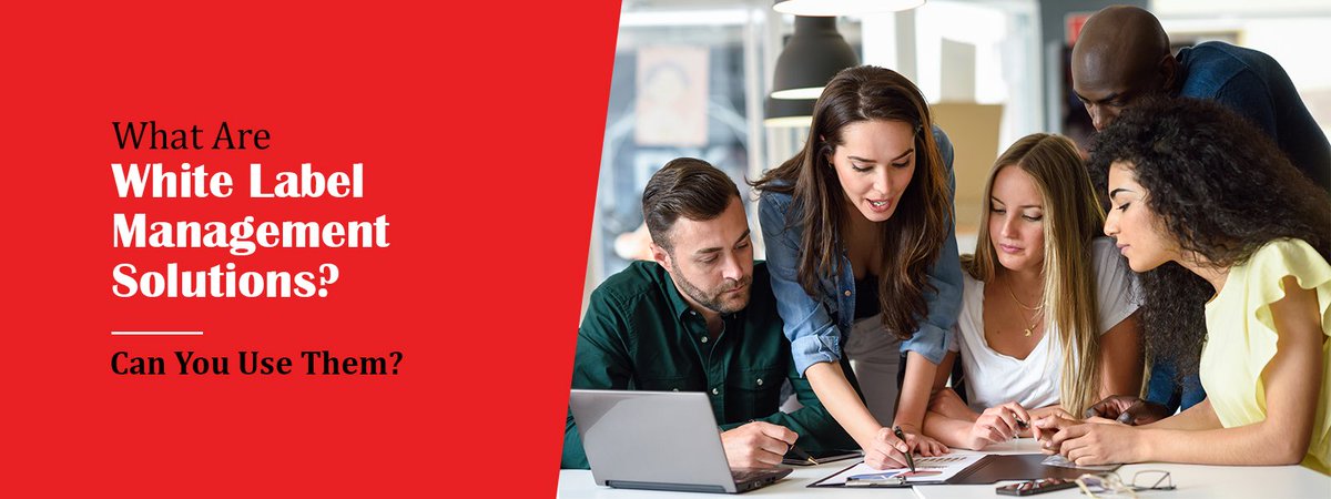 CapperTech's tweet image. What Are White Label Management Solutions? Can You Use Them? cstu.io/fe166f  #cappertech #tipstersoftware #whitelabeltipping #bettingtipsmarketplace