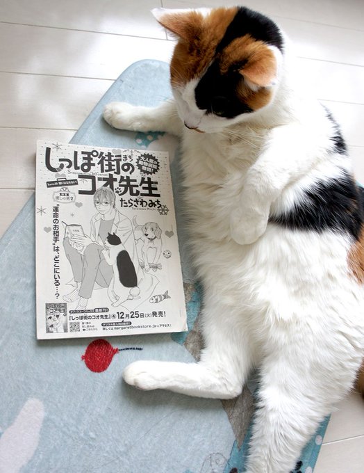 たらさわみち M Tarasawa さんのマンガ一覧 古い順 ツイコミ 仮 たらさわみち M Tarasawa さんのマンガ一覧 古い順 ツイコミ 仮