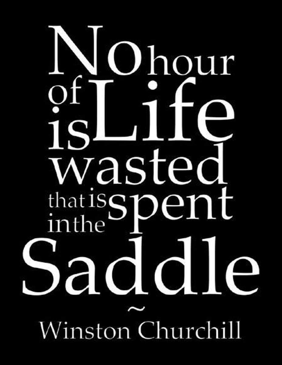 NYSHC's tweet photo. Agreed!
#NYSHC #NYSHCYouth #NYSHC50th #NYHorses https://t.co/5Av9O6cCAx