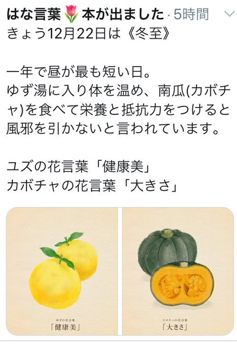 ユニークかぼちゃ 花 言葉 すべての美しい花の画像