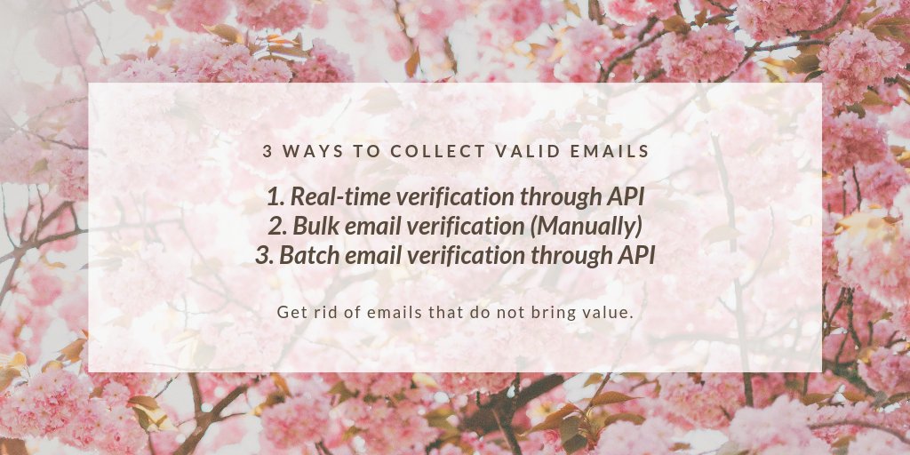 mailvalidation's tweet photo. Here are the three ways to collect valid emails. Before you start spending make sure you have a list of valid emails that will make it to the inbox.

#emailmarketingtips #emailmarketing #email #emailverification #api #emailverificationapi #zerobounce #xverify #bulkemailverifier https://t.co/bLAEyeShc3