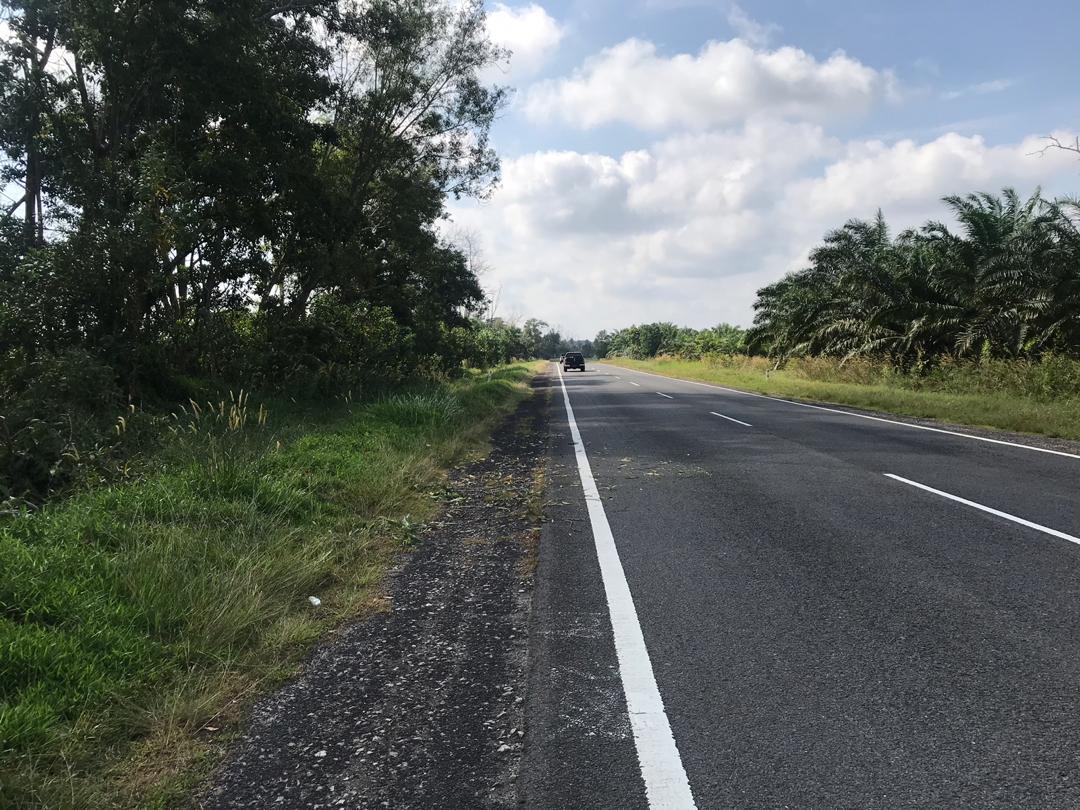 Kerja pembersihan pokok tumbang di Jalan Kuantan-Endau Ft003 seksyen 214.