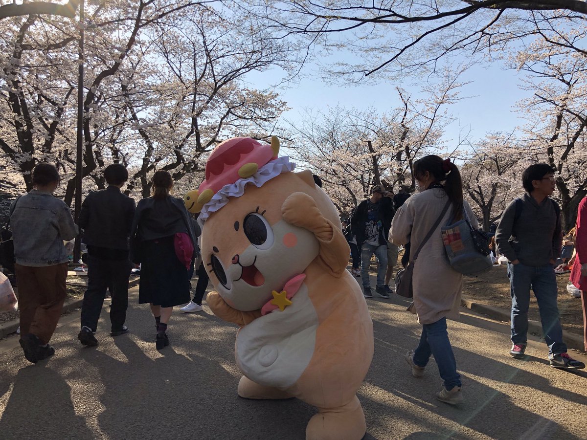 お花見に来ましたっ☆
ちぃたん☆ですっ☆ 転載元　<a href="/love2chiitan/">ちぃたん☆</a>