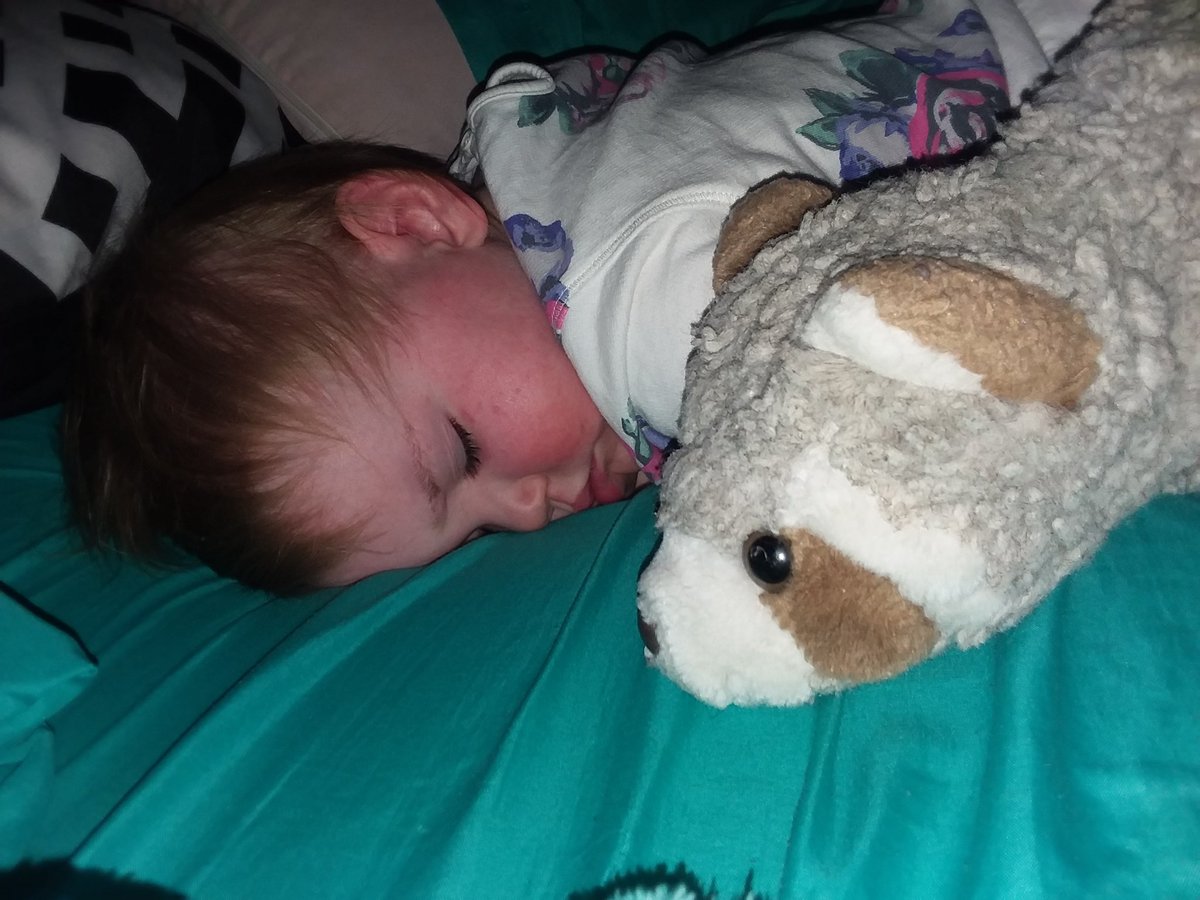 This raccoon was given to me by my aunt, and maybe I'll give it to this little girl someday..