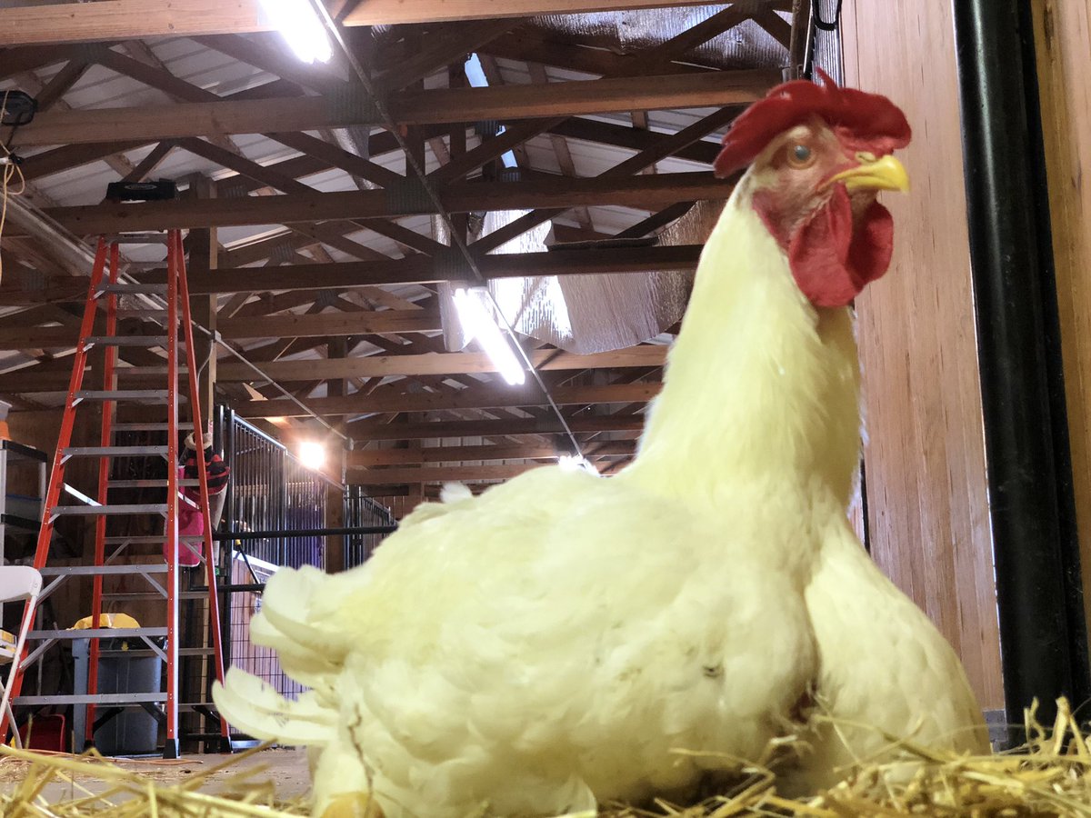 Jay L Weiner tweet media