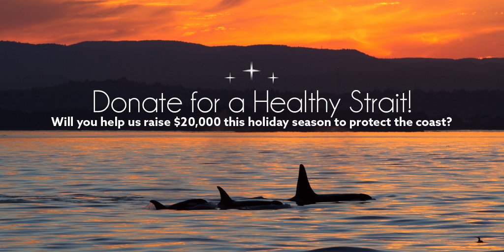 GeorgiaStraitBC's tweet photo. Sunsets over a healthy Strait, orcas and salmon abounding, coastal waters clean. Keep the dream alive and show your love for the ocean with a donation to GSA! https://t.co/J9bWkNzwsA #ilovegeorgiastrait #beautifulBC #healthyStrait #orcas #speciesatrisk #ChinookSalmon https://t.co/lqH9HzdvEJ
