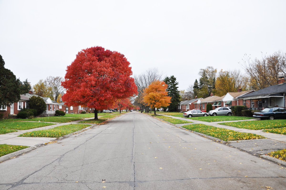 HECTORdesigns's tweet image. Hector &amp;amp; our team @UofO_07050 @mindphul @publicworkshop @TinyWPA @marcdnorman @CentricDesign @mmarshall_d @HingeCollective have begun work with @DetroitPlanning @InvestDet on a child-centric neighborhood plan for Cody Rouge &amp;amp; Warrendale in @CityofDetroit 🏁freep.com/story/news/loc…