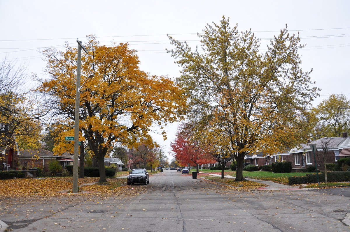 HECTORdesigns's tweet image. Hector &amp;amp; our team @UofO_07050 @mindphul @publicworkshop @TinyWPA @marcdnorman @CentricDesign @mmarshall_d @HingeCollective have begun work with @DetroitPlanning @InvestDet on a child-centric neighborhood plan for Cody Rouge &amp;amp; Warrendale in @CityofDetroit 🏁freep.com/story/news/loc…