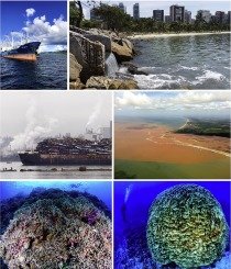 Jean Paul Metzger 🚴🏻♂️ (@jp_metzger) on Twitter photo See in this manuscript initiatives and examples that give us hope towards the sustainability of the world's marine biodiversity - <a href="/PerspectEcolCon/">Pecon_elsevier</a> sciencedirect.com/science/articl… See in this manuscript initiatives and examples that give us hope towards the sustainability of the world's marine biodiversity - <a href="/PerspectEcolCon/">Pecon_elsevier</a> sciencedirect.com/science/articl…