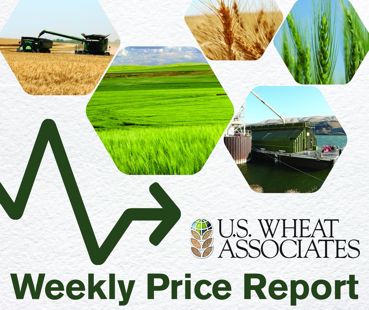 Hard Red Spring Wheat Charts