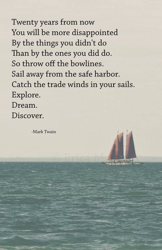 El alquimista de software tweet media