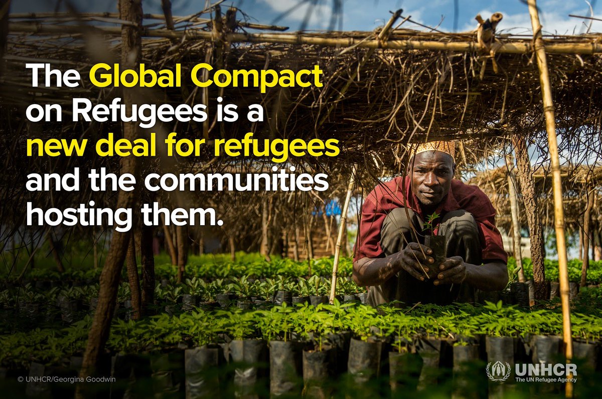 UN's tweet image. On Monday at UNHQ in NYC: #UNGA to consider Global #RefugeeCompact. Details: unhcr.org/a-new-deal-for… #WithRefugees