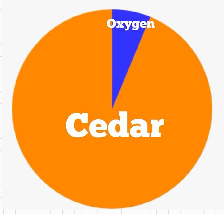 Weather Pie Chart