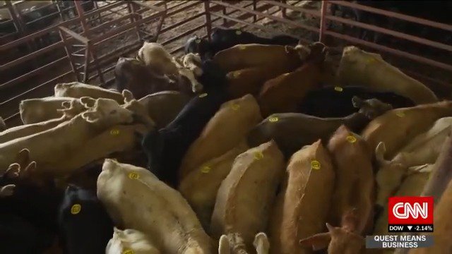 We're eating more beef than ever -- but at what cost? CNN's Nick Paton Walsh looks at the environmental impact of beef, and how human consumption needs to change to reduce global warming. https://cnn.it/2SRQA9N