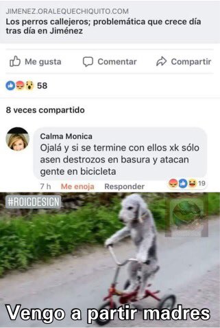 JAJAJAJAJAJAJ