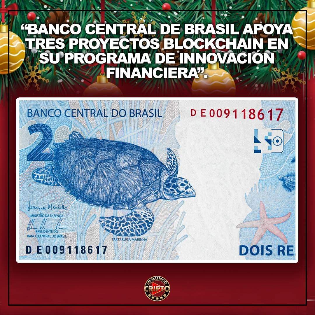 Mi Mundo Cripto tweet media