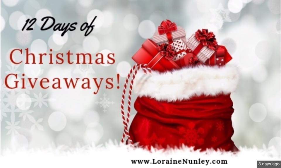 VLRBookClub's tweet image. Join us each day on Facebook for the next 12 days starting 12/12 to win some books and great prizes.