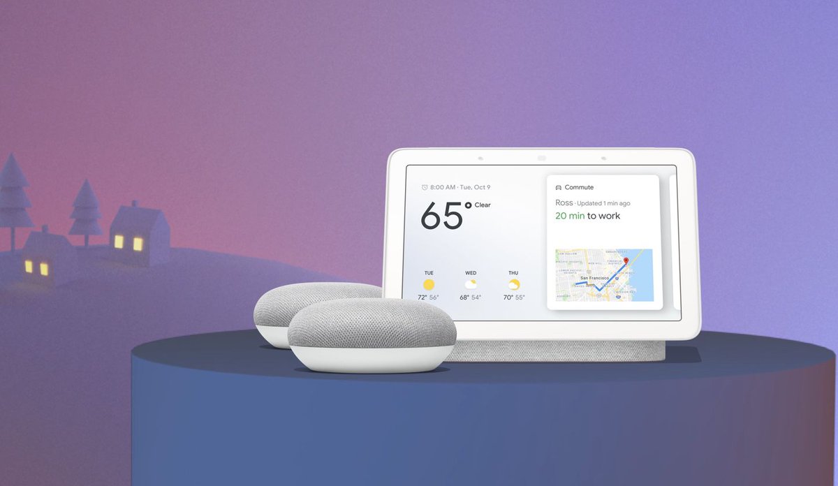 the verge google home hub