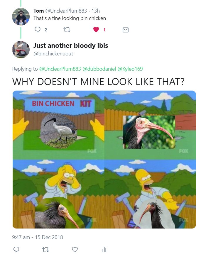 binchickenuout's tweet photo. I'm too proud of this terrible photoshoppery not to share - and I hope @UnclearPlum883 doesn't mind being involved π
#simpsons #binchicken #legrille #ibis #thejokeisthatweareallbeautiful #eventhatflappyheadedgenitalfacedstinkyboyinframetwo #loveyourfellowibis #amharmless
-ποΈπ https://t.co/y9ZZBXUfEo