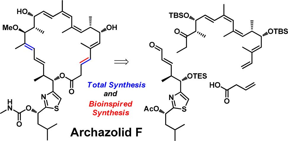 Total Synthesis tweet media