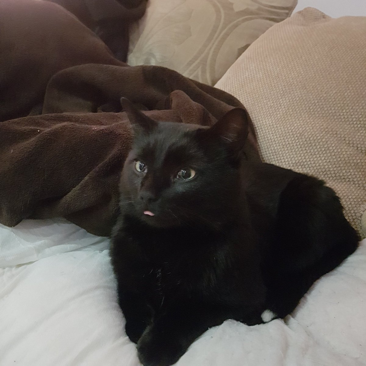 My new friend