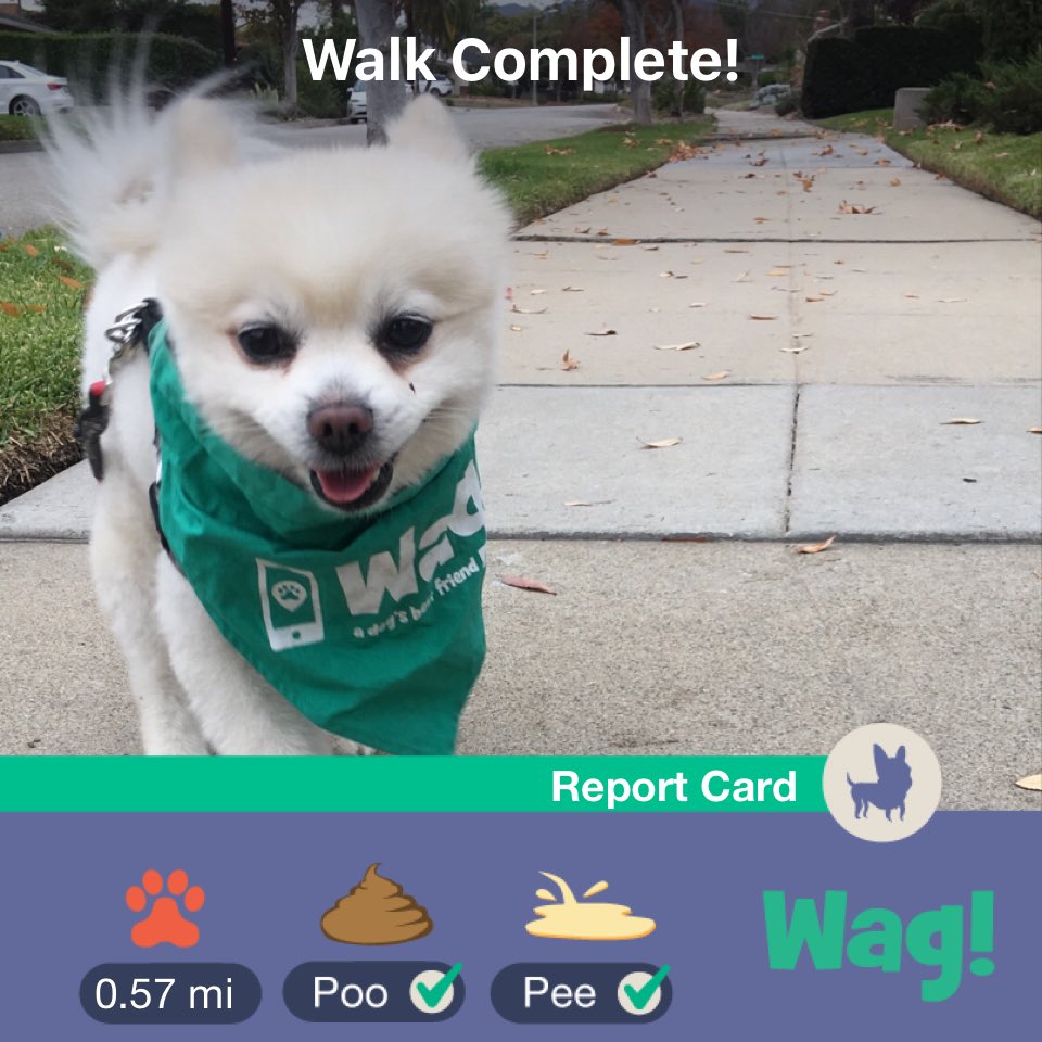 VastData's tweet image. Just finished a dog walk on Wag! Use my link wagwalking.app.link/I0EQpUSsKQ for $50 of FREE Wag credit!