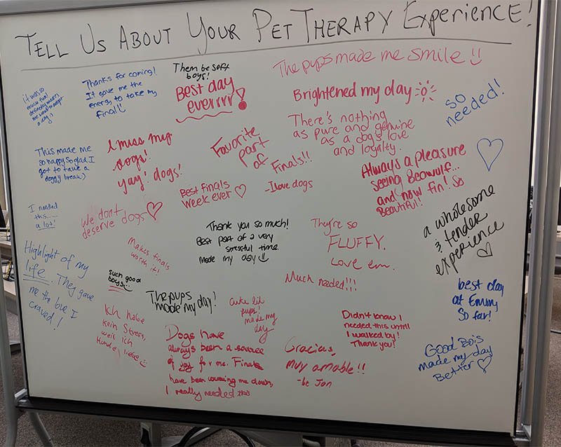 EmoryLibraries's tweet photo. Thanks to everyone who came out to see the therapy dogs in the #Emory Woodruff Library yesterday! We hope they gave you a snuggle, a reason to smile, and a nice stress break from thinking about finals. #Emorydogbreak #Emoryfinals #YouGotThis https://t.co/hwmFoNYeR3