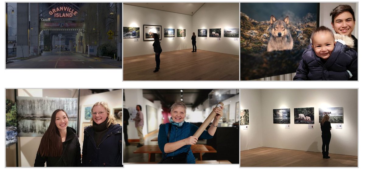 We've had a lot of fun engaging people with the One Shot for Coastal Carnivores #wildlifephotography exhibit. In 2 hours the auction closes.  This could mean the end of commercial trophy hunting in 2,350 sq. km of the #GreatBearRainforest 
#BritishColumbia
32auctions.com/organizations/…