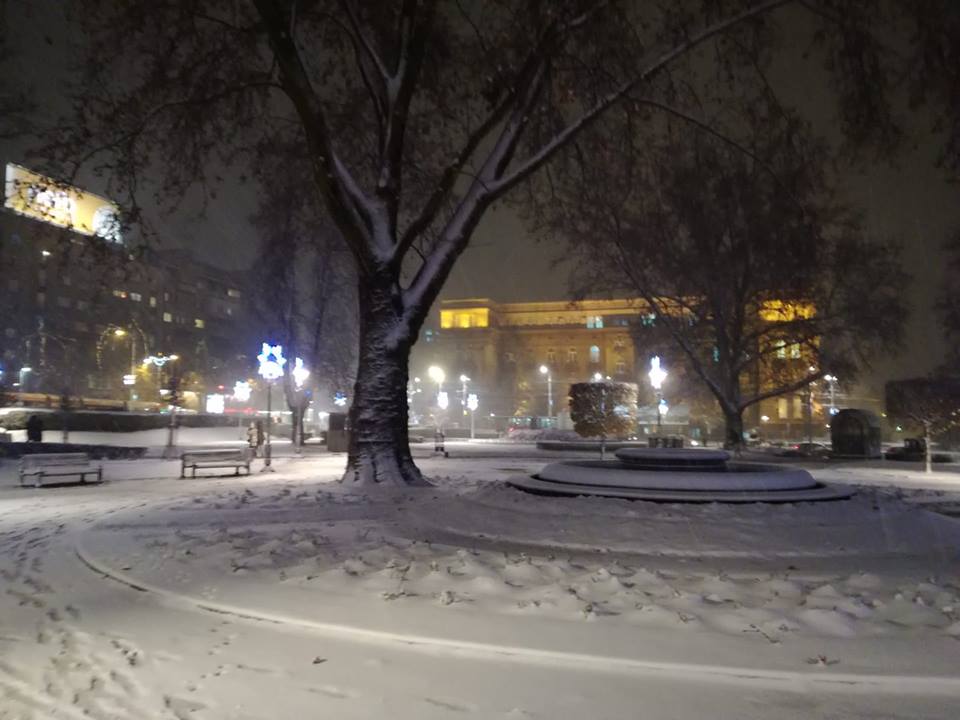 GoranBogicevic1's tweet photo. Park kod Vuka...#nocas https://t.co/b357PsKxMR