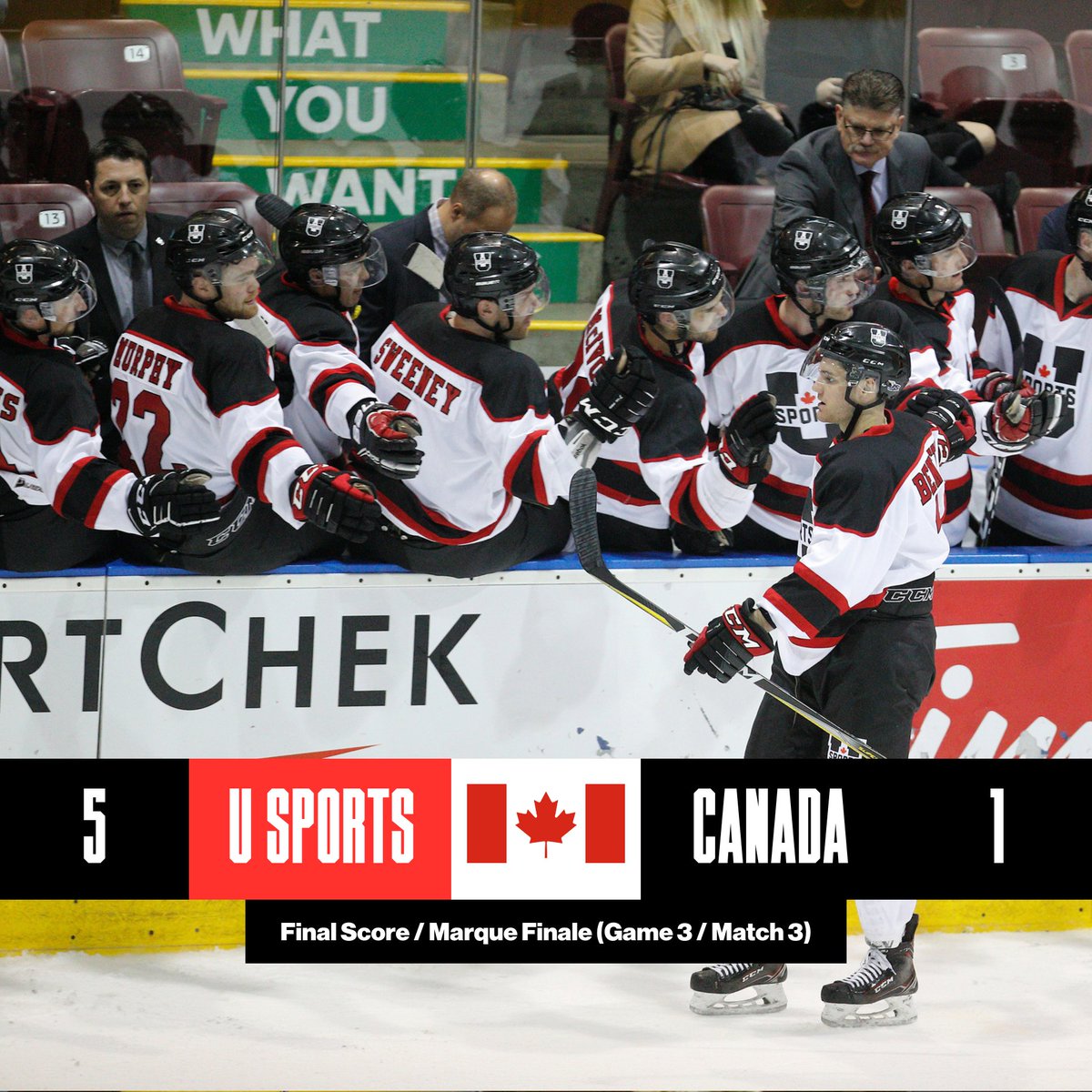 Murray Nystrom (puckwisehockey) Twitter