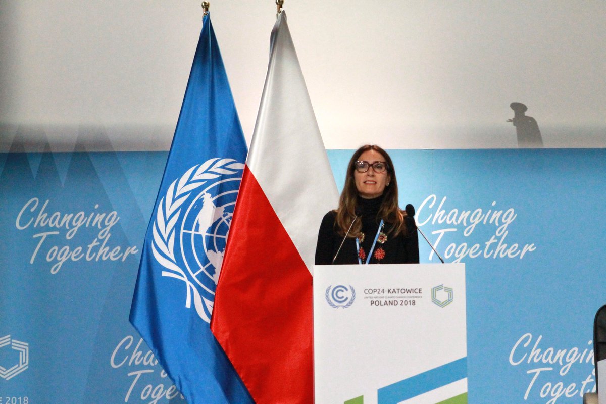 #COP25 👉 #Chile es el próximo organizador de la conferencia sobre #cambioclimático más importante del mundo. Lee todos los detalles aquí bit.ly/2rAShg3 ♻️💪