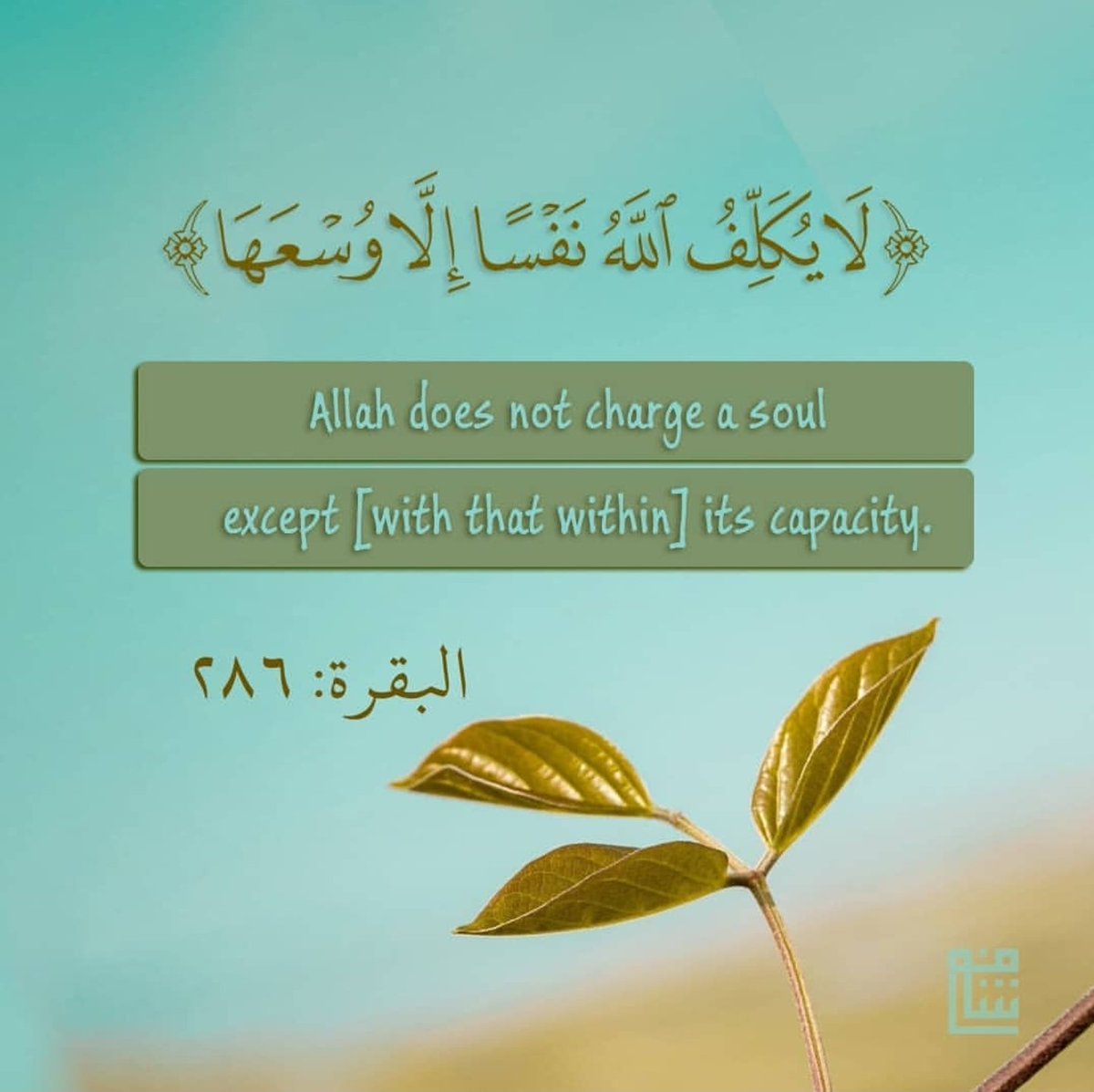 Emigrator To Allah On Twitter Allah Does Not Burden A Soul Beyond That It Can Bear Quran Islam Spreadthemessage Fromquran Reminder Https T Co Mlqlv3it8l Twitter