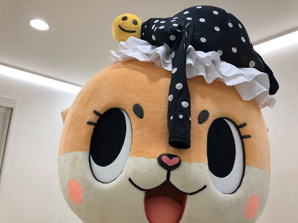 カメちゃんもZOZOスーツを着たい！とわめくので着ましたっ☆ちぃたん☆ですっ☆ 転載元　<a href="/love2chiitan/">ちぃたん☆</a>