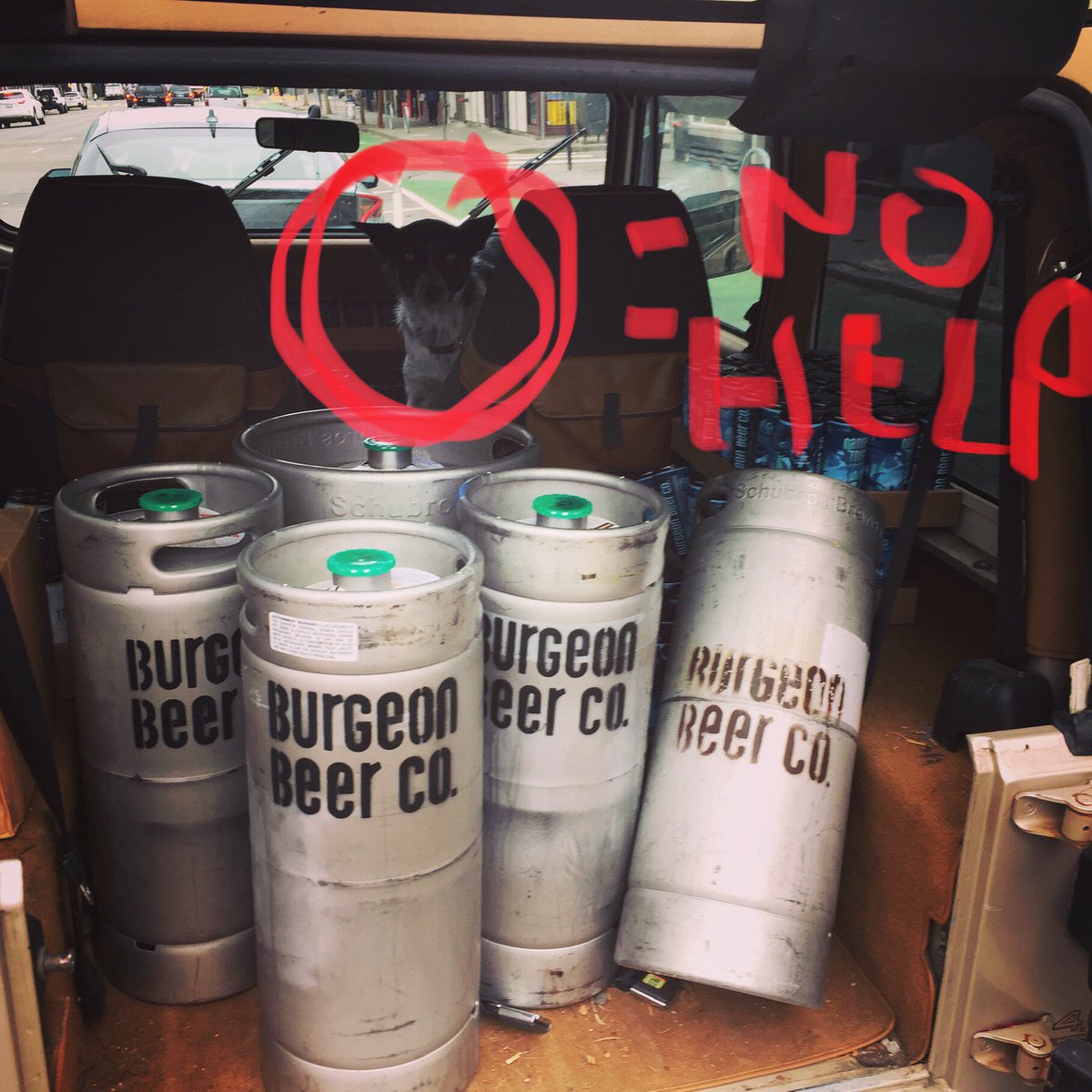 A Jeep load of <a href="/BurgeonBeer/">Burgeon Beer Company</a> has made it to Mission Street. 
And once again Juniper the dog couldn’t be bothered to lift a paw as we unloaded...