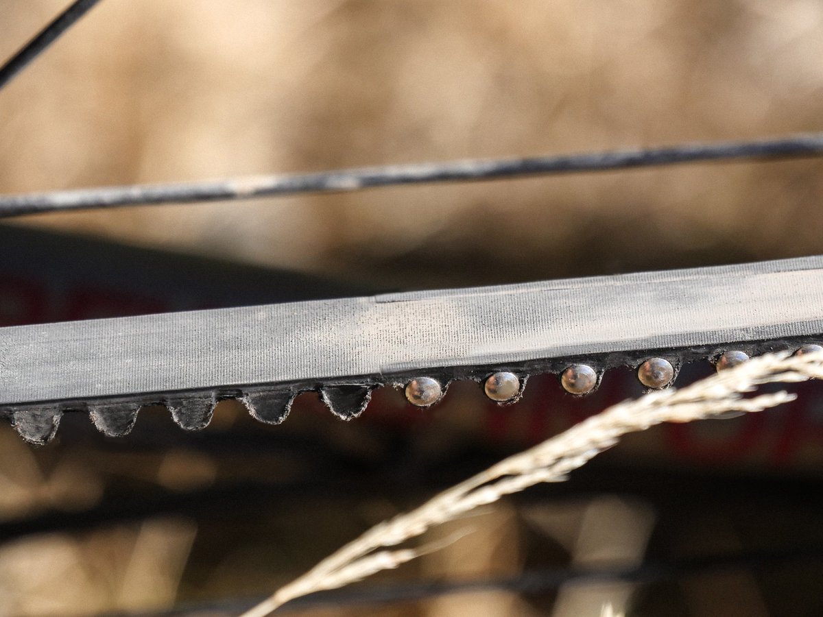 Veer_Cycle's tweet photo. Close-up of the #splitbelt in the field. Stainless steel rivets joining the splice together. Isn't it [riveting]? 
.
.
.
.
.
#splitbeltdrive #beltdrive #beltbike #beltsplice #splitbeltpro #rivets #drivetrain #cycling #bikepacking #bikewander #beltbikepacking #veer #getveered https://t.co/OkZk3RTarD