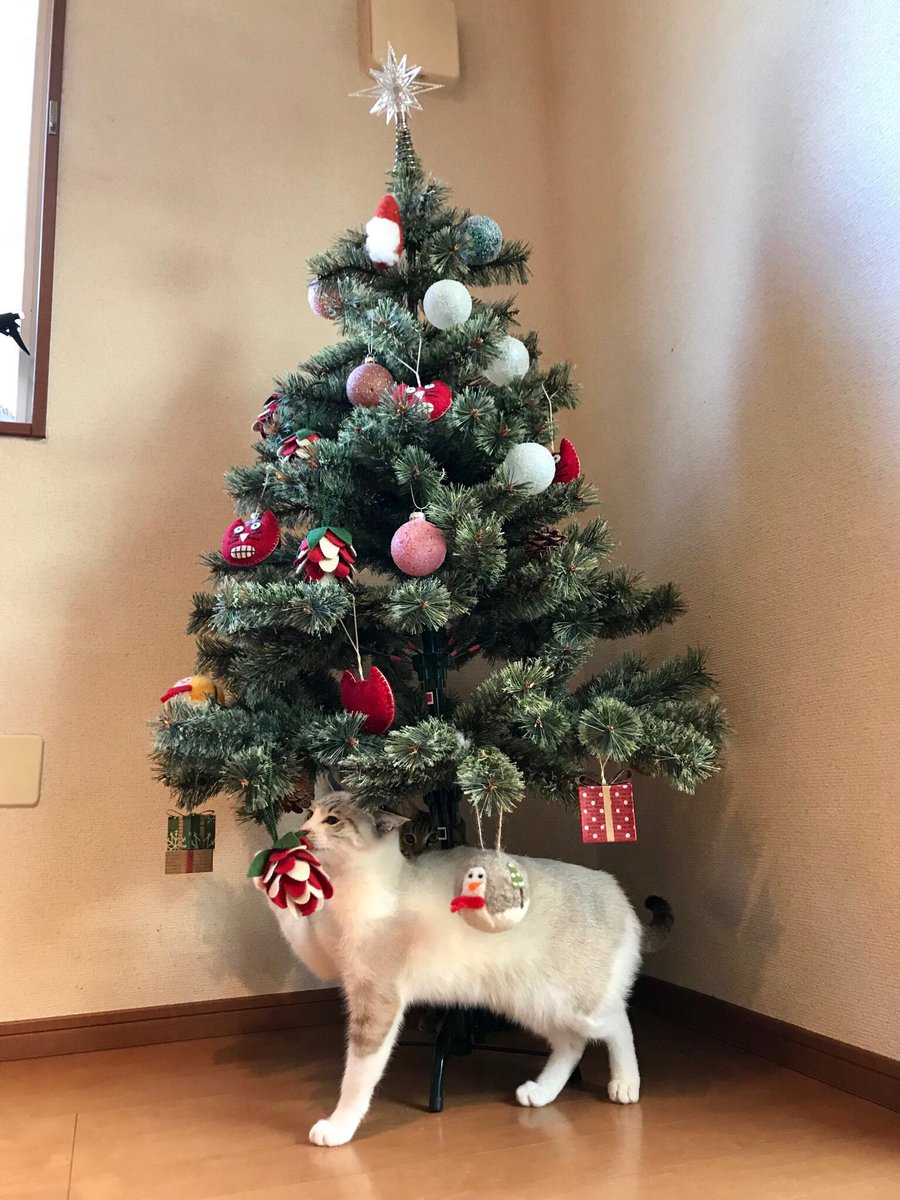 猫さんのいるお家でクリスマスツリーを飾ったら虎視眈々と狙われてしまった 誤飲が増える時期とのことですのでお気をつけて Togetter
