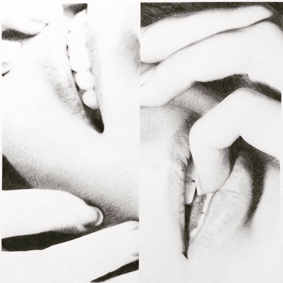 timdstevenson's tweet image. New from today: instagram.com/p/BrYQPjMFDJF/…