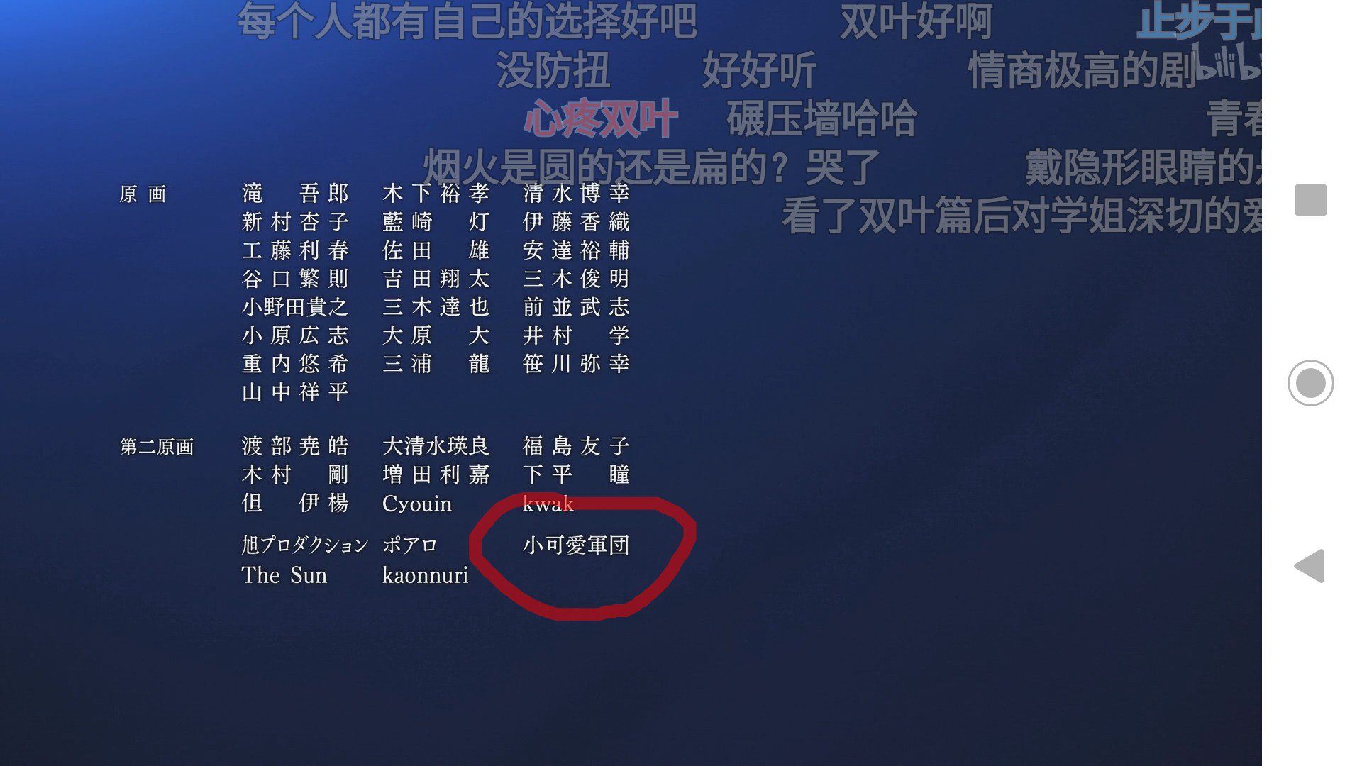 夏天的猫四 小可爱军团 夏天的猫四 小可爱军团