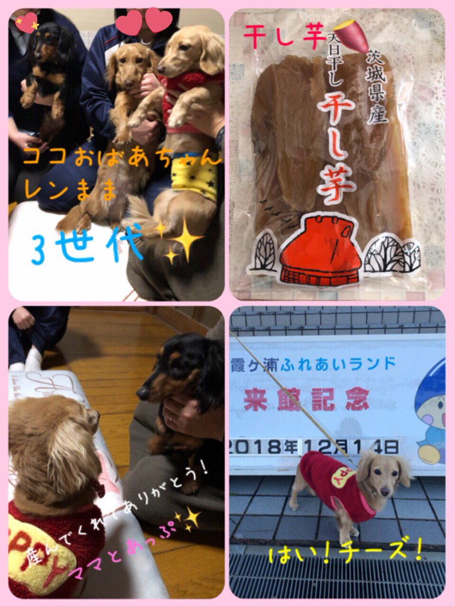 ☺︎あっぷ☺︎ tweet media