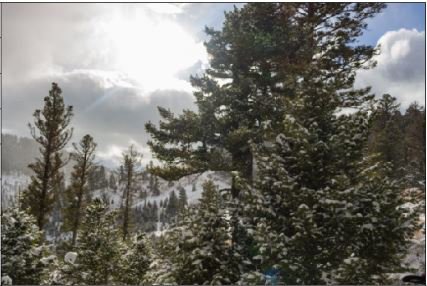 ZeeJayDubs's tweet photo. I made a neural network to stylize a picture I took of Montana on a snowy day using a painting by Leonid Afremov. Here are the original and stylized images, as well as the painting. @PyTorch https://t.co/0aSmULBqU1