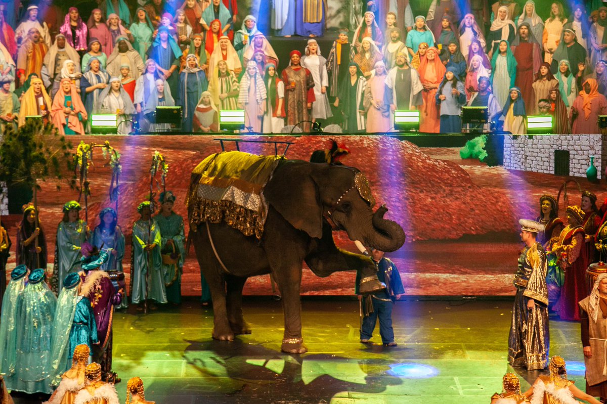 championforest's tweet image. Spectacular! #cfbcchristmas