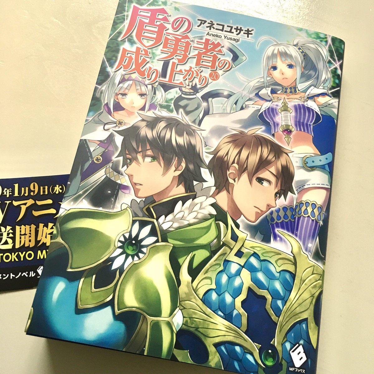 弥南 En Twitter 盾の勇者の成り上がり巻をいただきました すごい巻数 今月25日発売です 盾の勇者の成り上がり