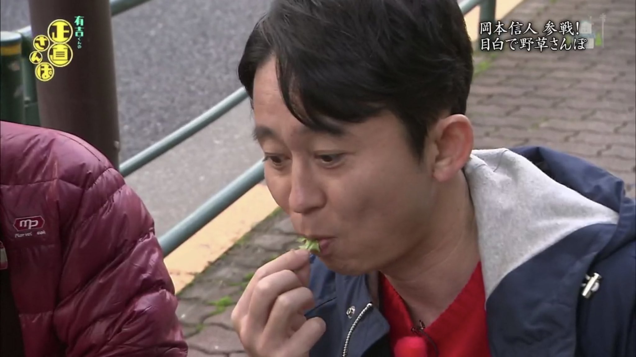 大福 草を食べる気まんまんの有吉さんと嫌がる女性陣 有吉 やっぱりタンポポはうまいね 柔らかいよぉー 正直さんぽ T Co Xo9eguabai Twitter