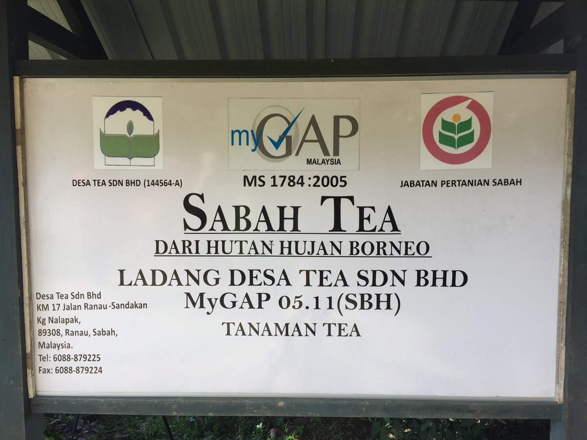 SiennyLovesDraw's tweet photo. Site visit5️⃣,📍#SabahTea🍃☕️#tea #tealover #tealovers @SabahTea #dining #Kundasang #tourism #tourist #tourists  #TourismProductivityNexus #MPC #destinations #Asia #Sabah #TPN #TourismProductive #MITA #MalaysiaProductive #Tourism #Asia @MalaysiaBlogsRT @BloggersTribe @MPC_HQ #blog https://t.co/DrGsChLEDs
