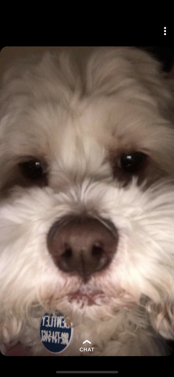 _NL40's tweet photo. *accidental front camera https://t.co/pGWkdCpueS