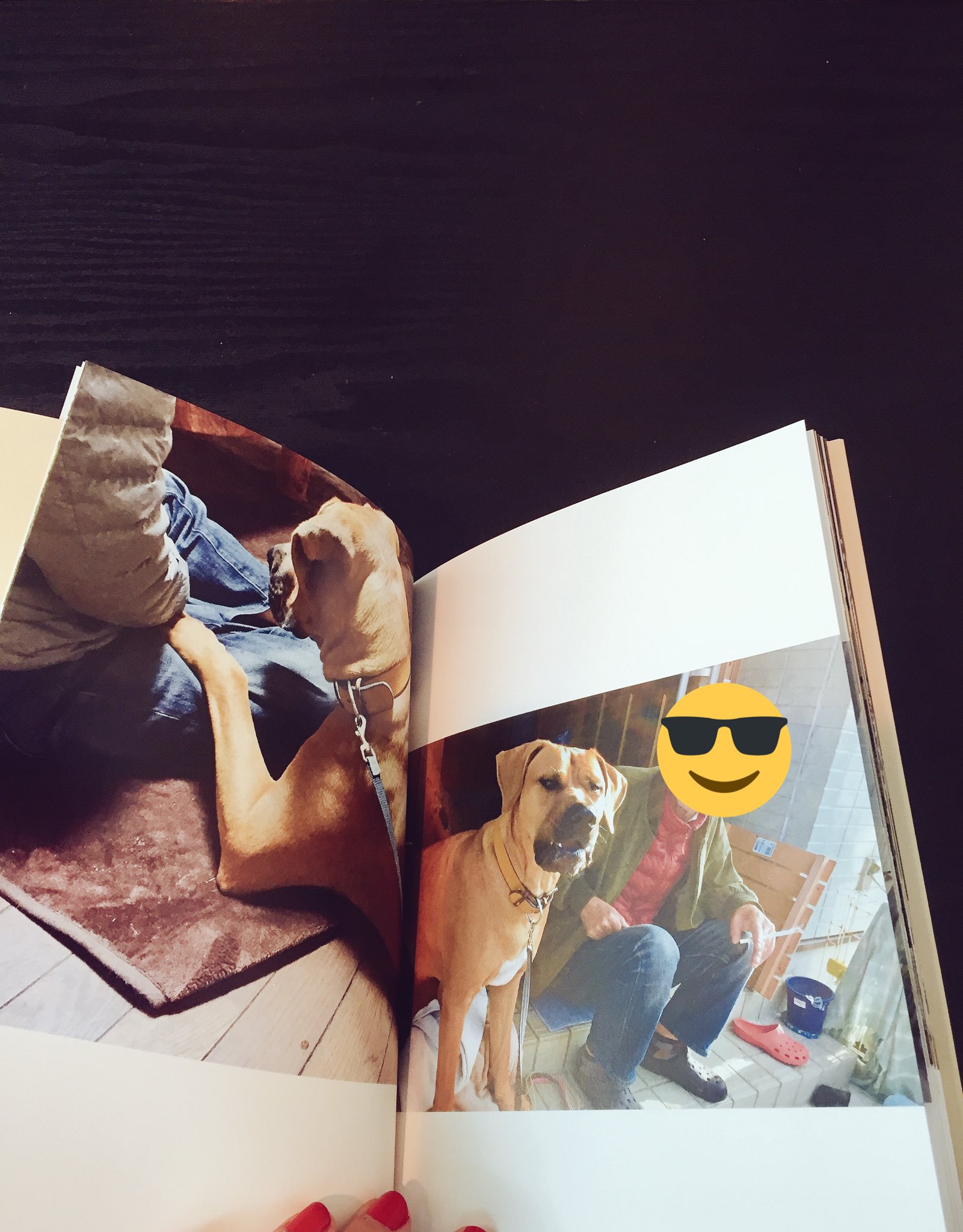 ジョーは犬 猫と添い遂げる家を買いリフォーム中 父へのクリスマスプレゼントに 犬と父がふたりで写ってる写真を集めてしまうまプリントさんでフォトブックにしてもらった 紙媒体として手元にある感動に 思わず泣いた かわいい T Co