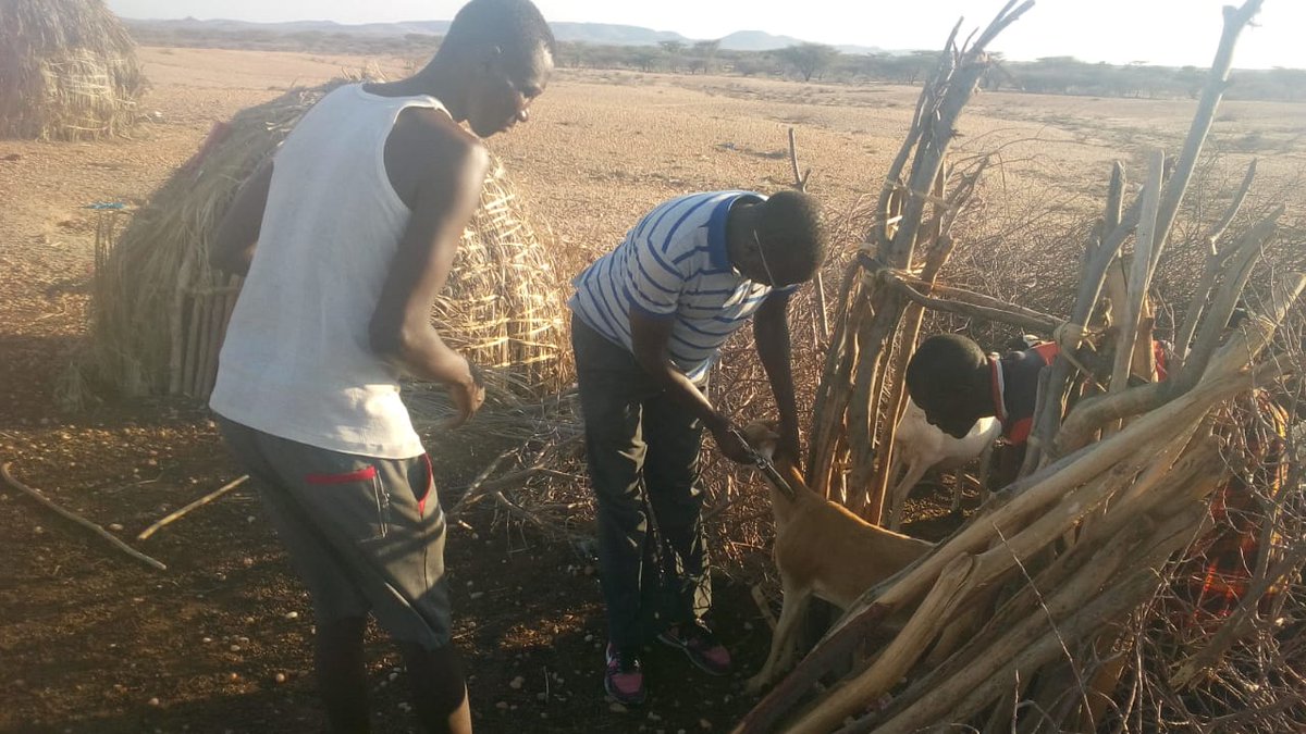 Min. of Agriculture, Pastoral Economy & Fisheries tweet media