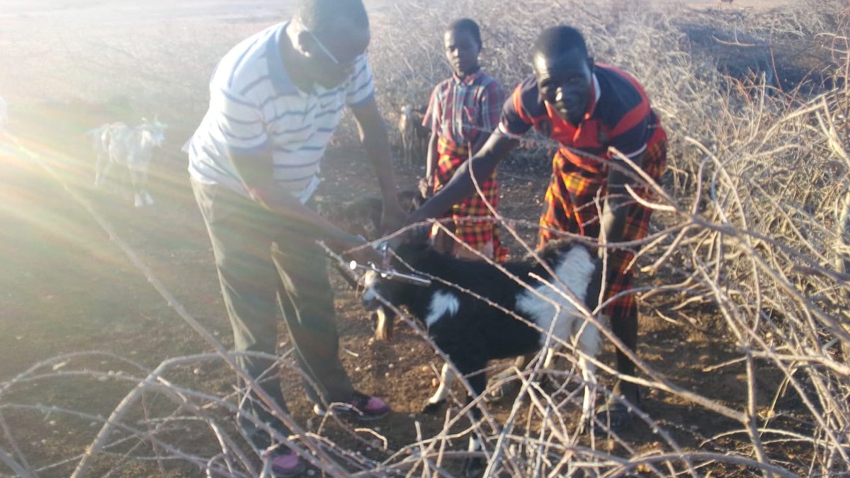 Min. of Agriculture, Pastoral Economy & Fisheries tweet media