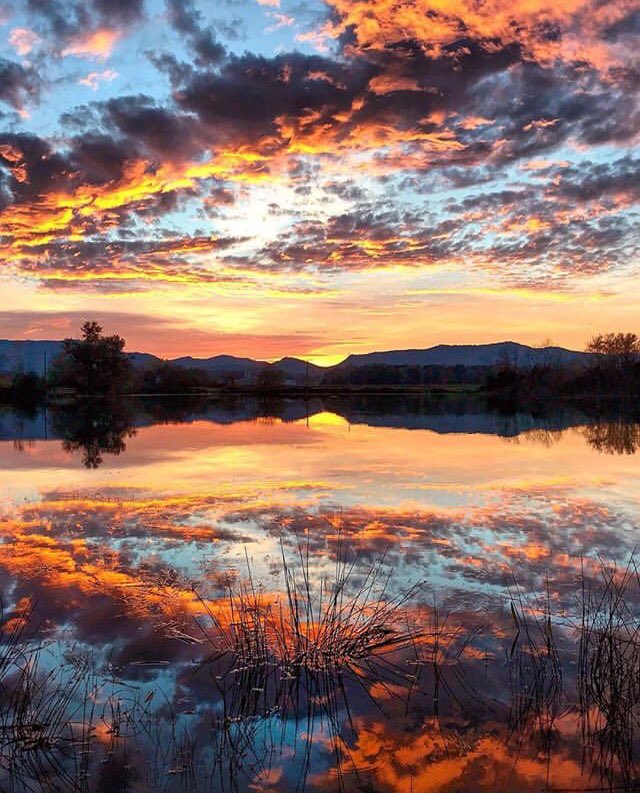heinkeldesign's tweet photo. Time to give your skin that beautiful and healthy glow!! ✨
#Enjoy #naturelovers #getaway #clearwater #clearskin #Christmasgifts #amazon #AmazonPrime #USA #amazondeal #heinkeldesign https://t.co/7ZilYzbAO8